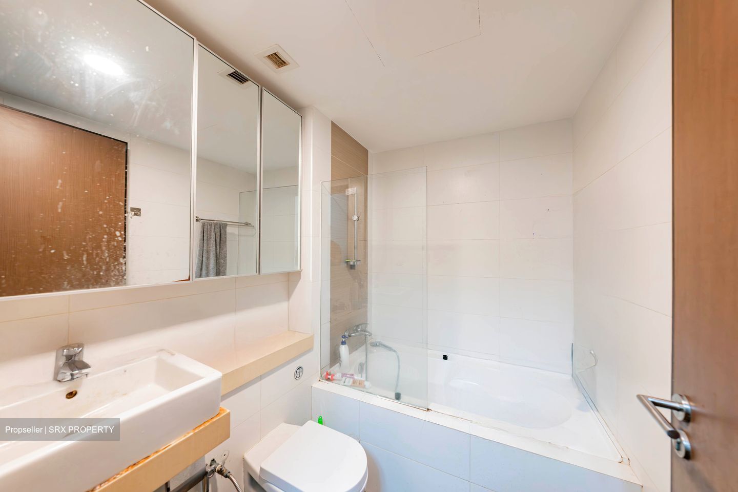 Mount Sophia Suites (D9), Apartment #487259021